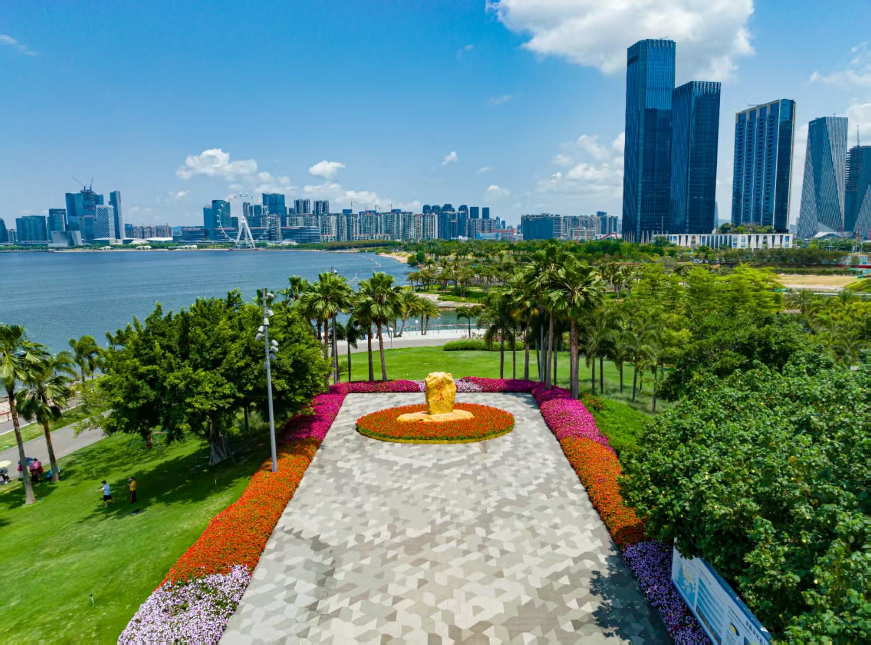 深圳湾公园实地景色